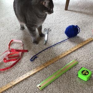 Cupboard Crafts & Experiments: Measuring with Daisy