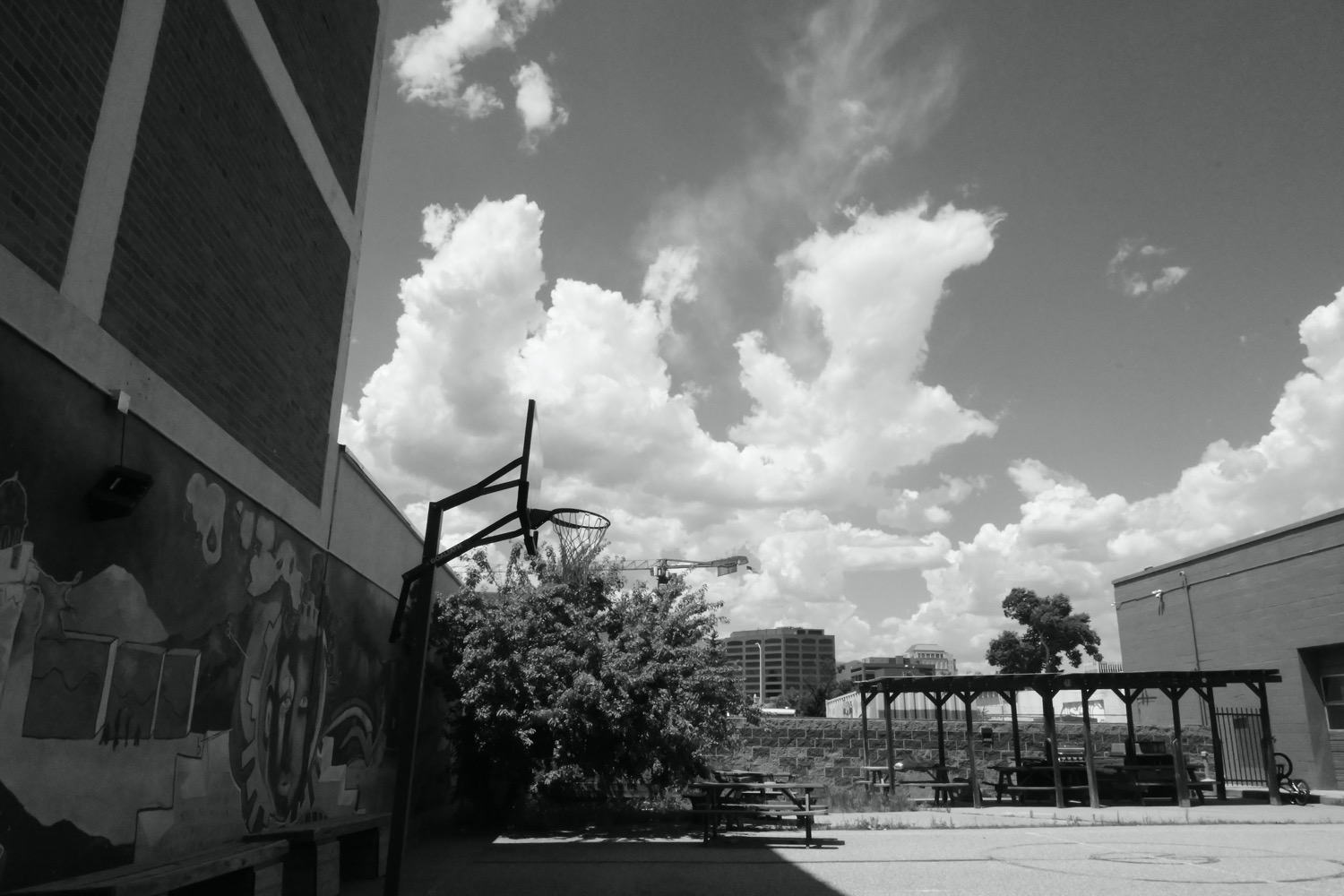 Black and White Photo of Colorado Springs Cityscape